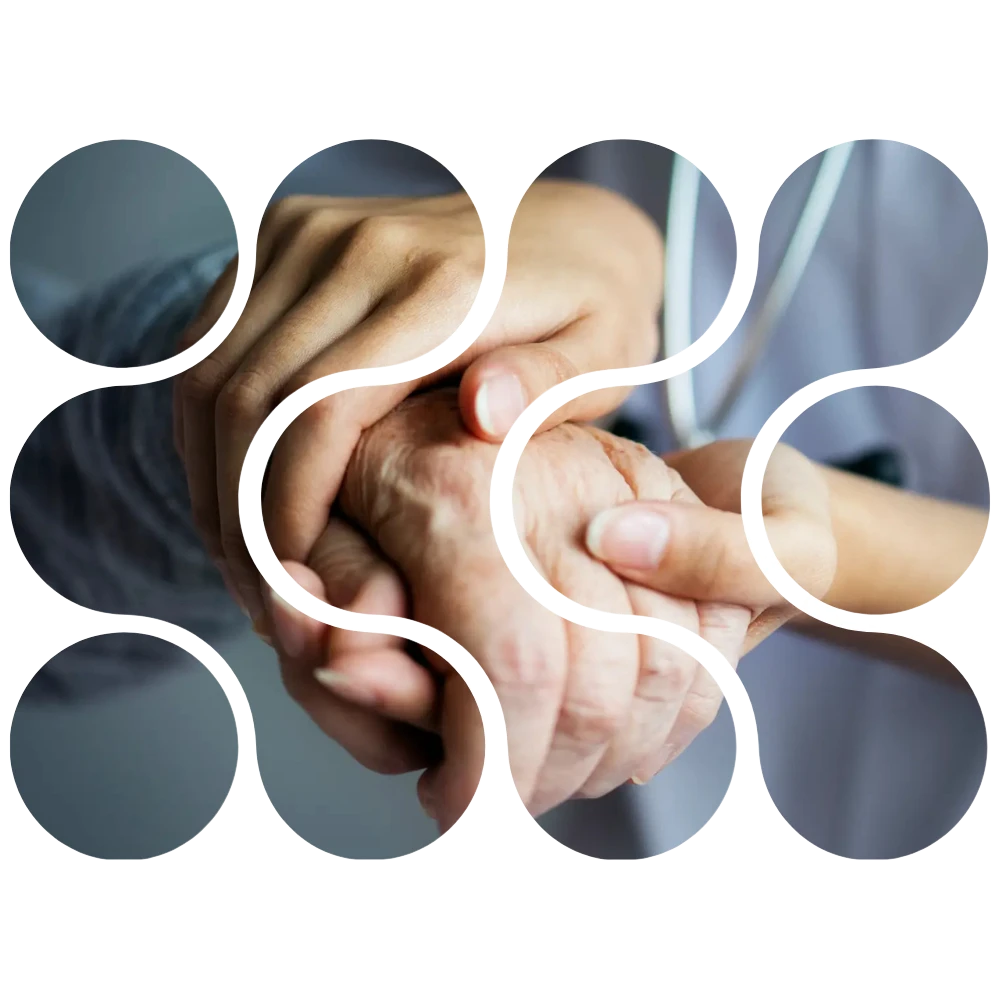 Imagem Principal do Banner Principal